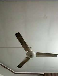 Ceiling  Fan