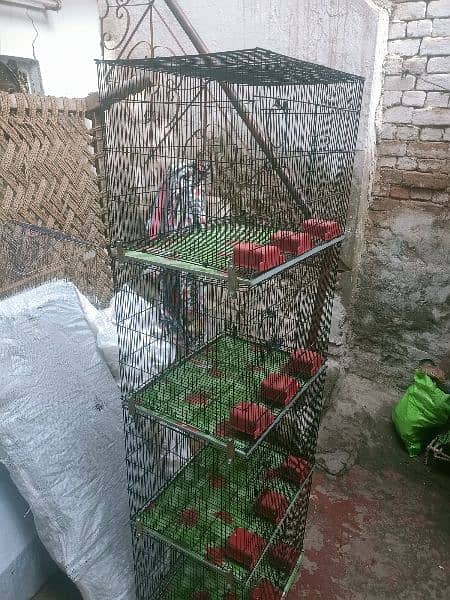4 Potion New Folding Cages 3