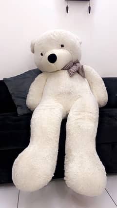 6feet teddy bear white colour