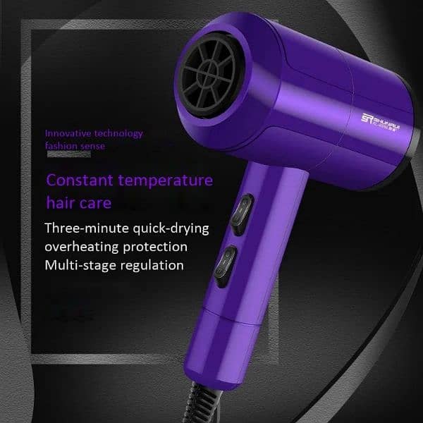 Shun Rui Hair Dryer (XL-6666 110V 800W) 2