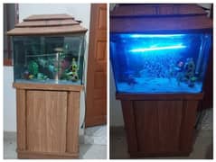 Aquarium /Fish aquarium / Aquarium setup for sale