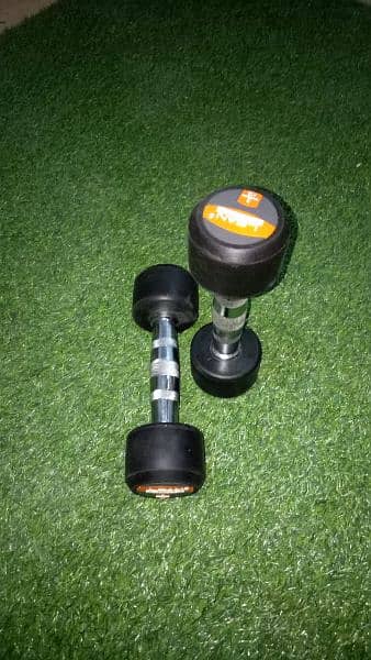 Rubber dumbbells with metal Rod 2