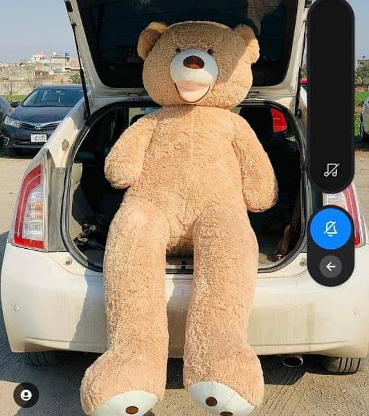 Teddy Bears / Giant size Teddy/ Giant /Big Teddy/PH#03274983810 3