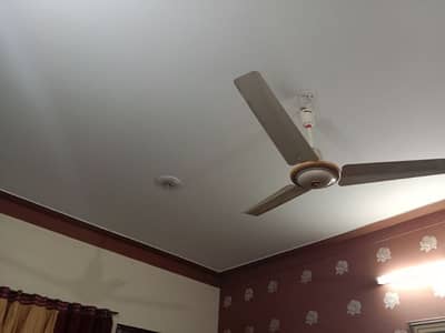 royal fan just like new