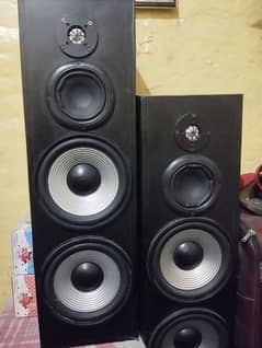 10 inch double pair woofers