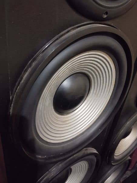 10 inch double pair woofers 1