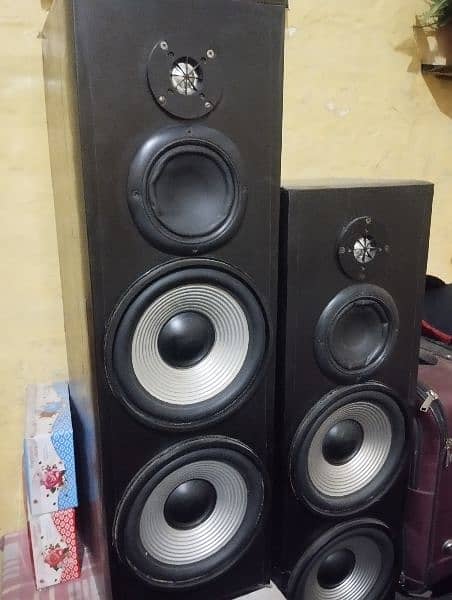10 inch double pair woofers 3