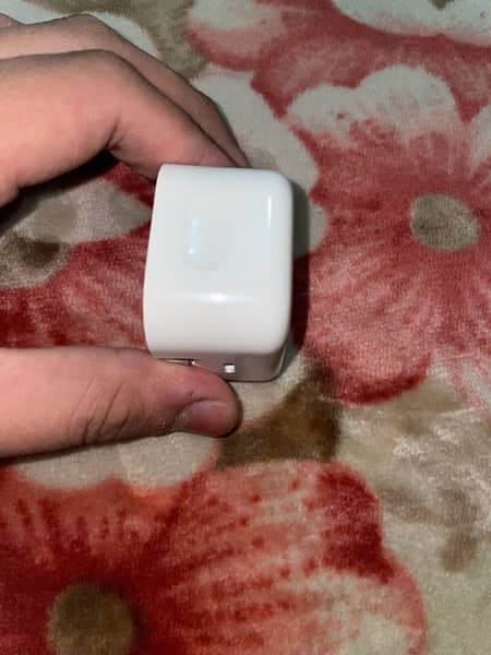 Apple orignal 20 watt fast charger just 1 or two time used 2