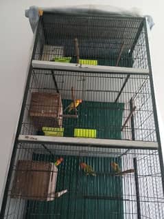 iron steel 4 portion cage for birds 0