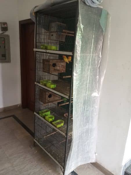 iron steel 4 portion cage for birds 3