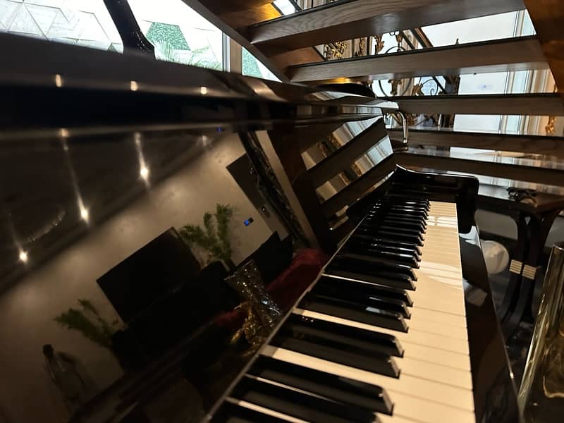 Grand Piano / bassclef grand piano / pool tables / sofas / centre tabl 12