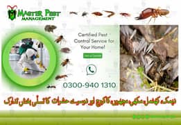 deemak control/pest control/dengue spary fumigation