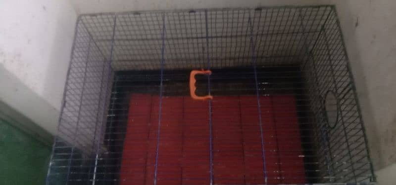 2 cage separate 3