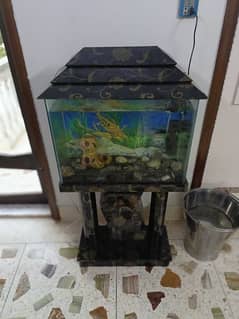 aquarium for sale with fish and air pump