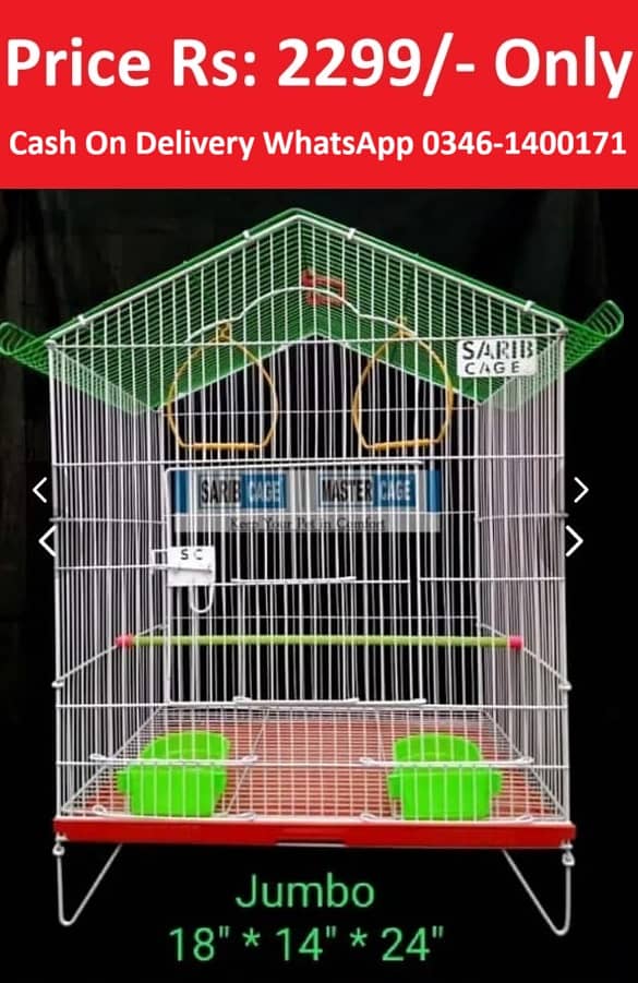 0346-1400171 Cage Pinjra Parrot Bajri Australian Tota Pahari Raw Green 6