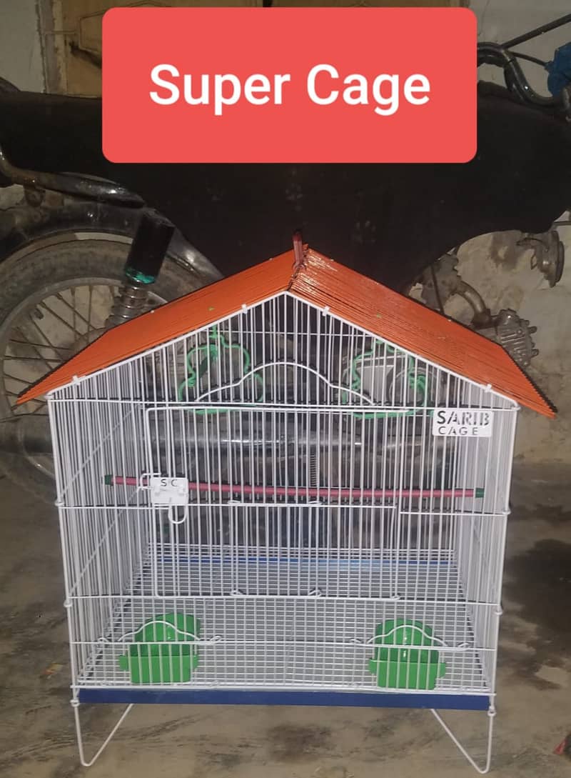 0346-1400171 Cage Pinjra Parrot Bajri Australian Tota Pahari Raw Green 9