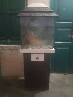 aquarium for sale