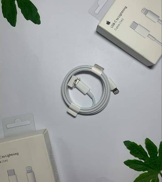 apple 20w charger plus cable 2