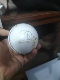 Ball of cricket