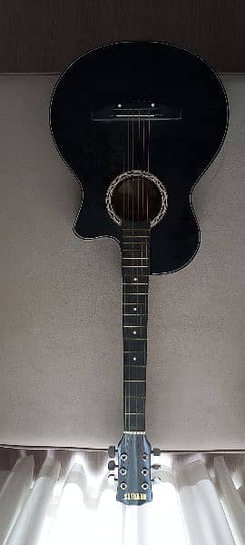Acoustic Guitar - 3