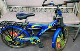 SONY Bicycle New