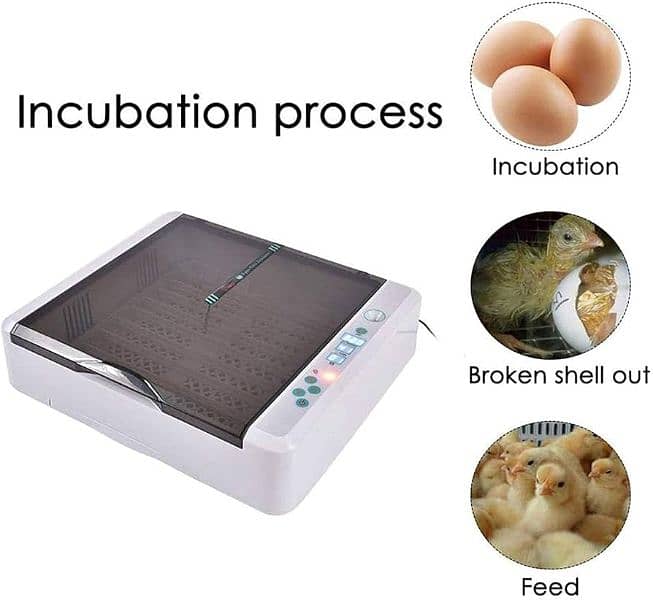 imported incubator china incubator 2