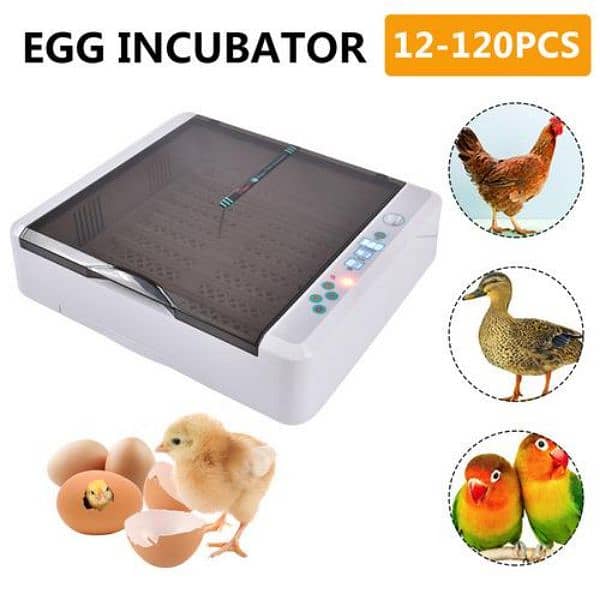 imported incubator china incubator 12