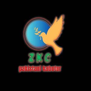 ZKC-