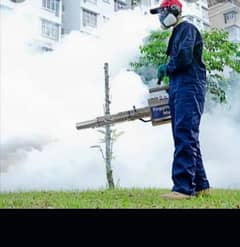 Pest Control Services termite control&Whater Proofing Service availabe
