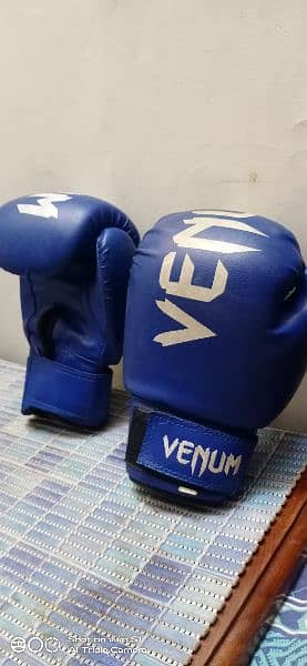 Havy Boxing Gloves Imported 0