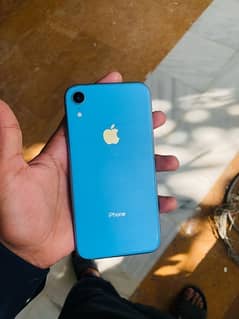Iphone XR approved