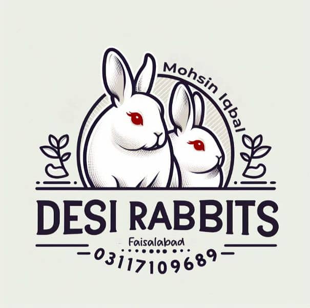 All Coulr Desi Rabbits Available 5