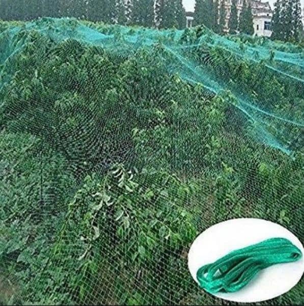 Anti Bird Net 6 by 30 feet for Plant Protection 1