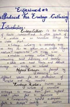 Hand writing work in available in cheapest rate