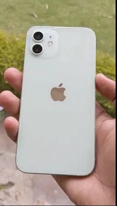 iphone 12 256 gb pta approved