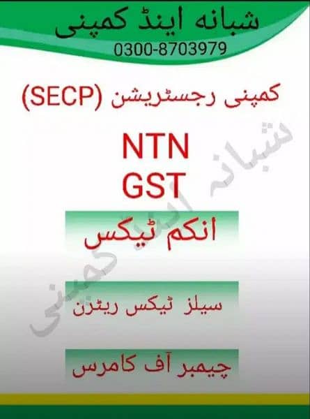 NTN/GST/NGO/TAX RETURN/COMPANY REGISTRATION/FILER/SECP/FBR 2