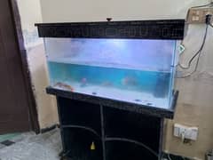 Aquarium with Fishes and Stand For Sale