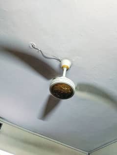 Royal Copper Winding Fan