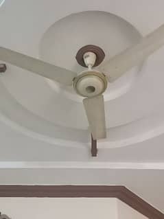 3 ceiling fan for sale