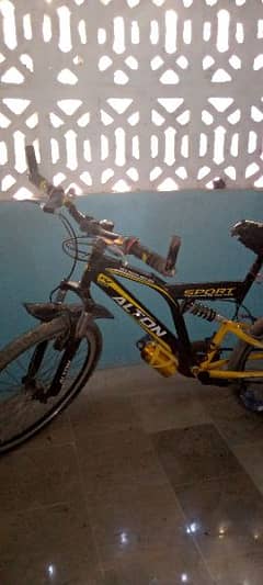 sport cycle