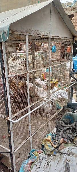 big saiz cage for sell 1