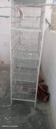 cage 10  kahana hn