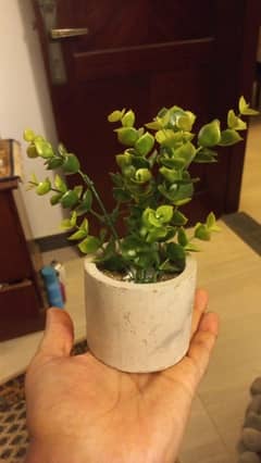 Imported Bonsai table plantar vase new looks like real
