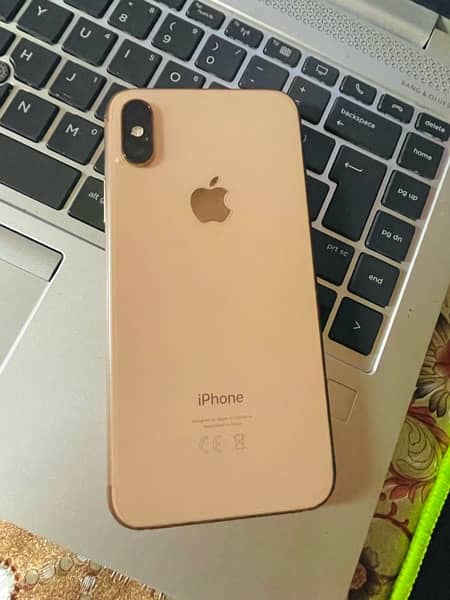 iPhone XS  64GB,  10/10 Lush Condition 0