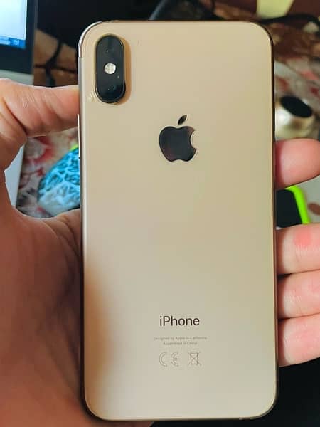 iPhone XS  64GB,  10/10 Lush Condition 1