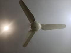 Ceiling fan in fine condition