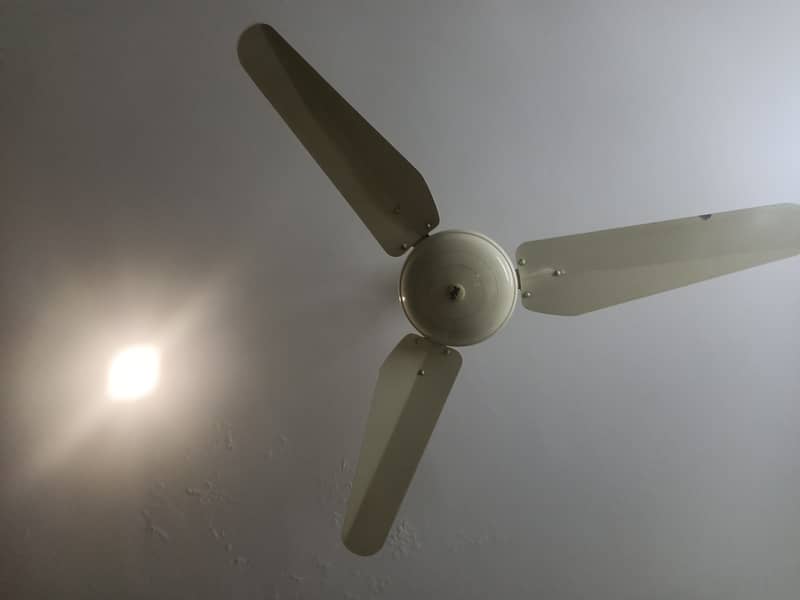 Ceiling fan in fine condition 1