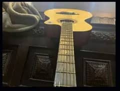 Linjian Beginner's Guitar 10/10