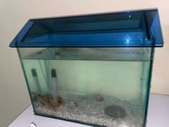 Aquarium with 4 fishes