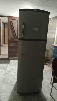 No frost refrigerator two doors